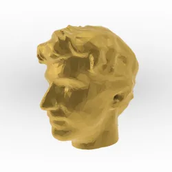 Face model