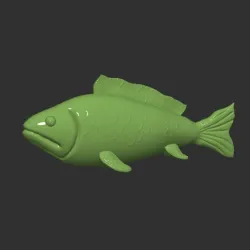 Fish Karp