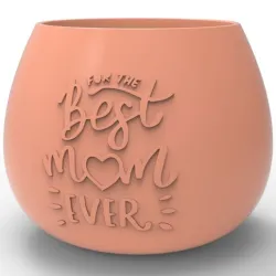 Flower Pot gift for your mom