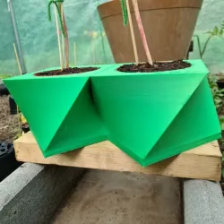 Flower Pot