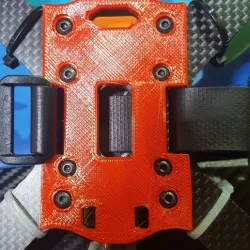 Frog Race Lipo protector (screws)