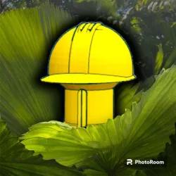 Hard Hat Crocs Pin