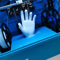 Human Hand real 3d model