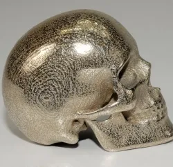 Human Skull