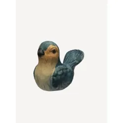 Little Bird
