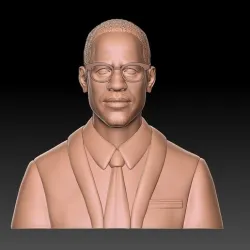 Malcolm x head bust