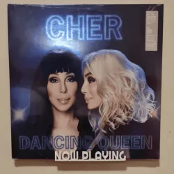 Now Playing Vynil record wall holder 3D Model