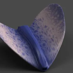 Ray