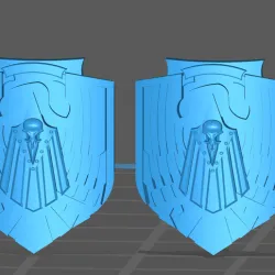 RG Storm&Combat shield