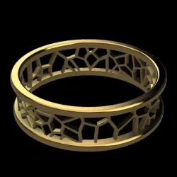 Ring Voronoi V1_2