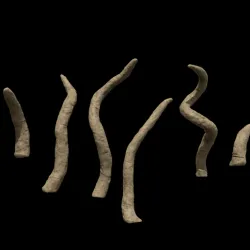 Star Wars Sarlaac Tentacles for 3.75" and 6" figures
