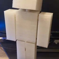 Steve or Minecraft skin