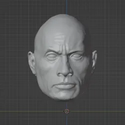 The Rock head
