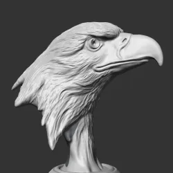 Bald Eagle Head AM07 3D print model