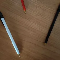 BIC Ballpoint Pen