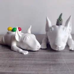 Bull terrier, pot, planter, pot, dog, lazy dog, lazy dogs, lazy dogs, lazy