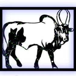 Bull wall art