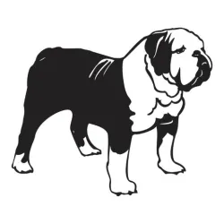 Bulldog