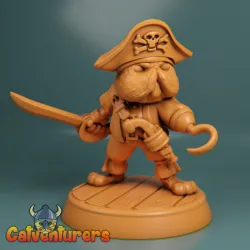 Cat Pirate