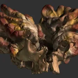 Deformed Skull