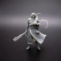 DND Enoa Character Paladin