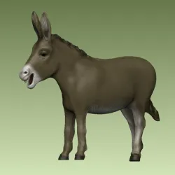 Donkey