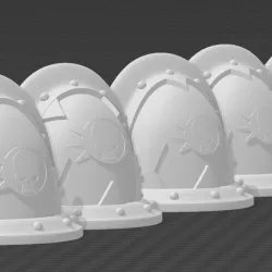 Expiry Protectors Veteran Shoulder Guards