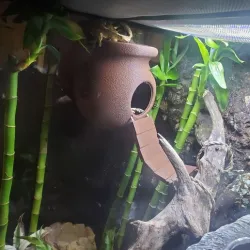 gecko hide