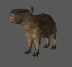 Green Hell - Capybara