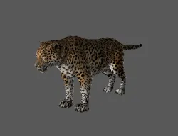 Green Hell - Jaguar