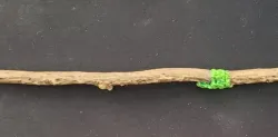 Green Hell - Metal Spear