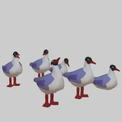 Little gulls