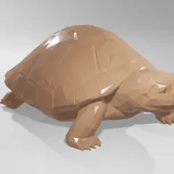 Low poly animal turtle