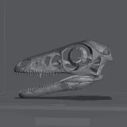 Microraptor gui dinosaur skull Open source...