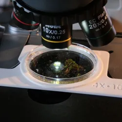 Petri dish holder for microscope MOTIC BA210E and BA310E (BA210 and BA310 Elite versions)