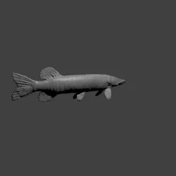 pike