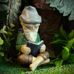 Reading Gnome