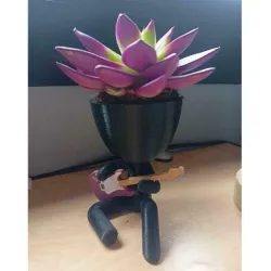 Robert Plant Vase / Pot Guitar