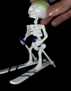 Skeleton skier / Squelette skieur