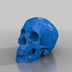 Skull