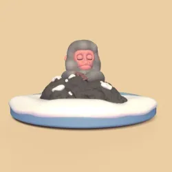 Snow Monkey Hot Spring