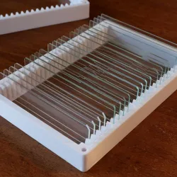 Tray for 25 x microscope slides - easy to print