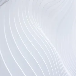 Vertex