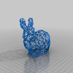 Wire Frame Bunny