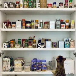 Alphabet shelf organizer (LetterZetter v1)