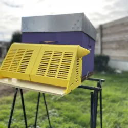 Anti-Asian Hornet muzzle