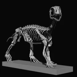 BABY MUSSAURUS FOR 1:1 SCALE PART 2 OF 3