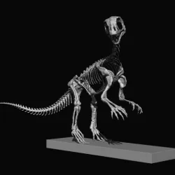 BABY MUSSAURUS, POSE 2, FOR SCALE 1:1 PART 2 OF 3
