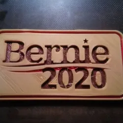 Bernie 2020 Plate