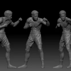 Boxer